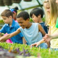 Involvement in Community Activities: A Guide to Supporting Aging Loved Ones