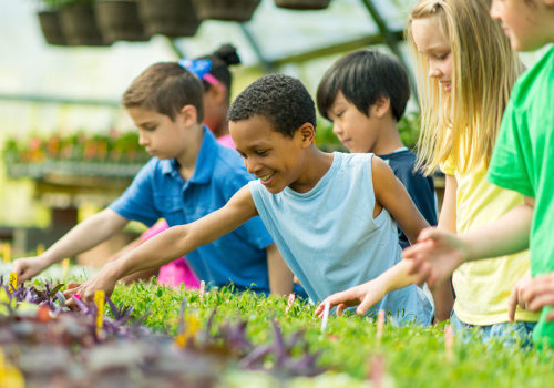 Involvement in Community Activities: A Guide to Supporting Aging Loved Ones